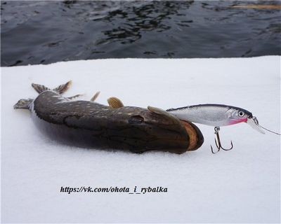 связанный связанный