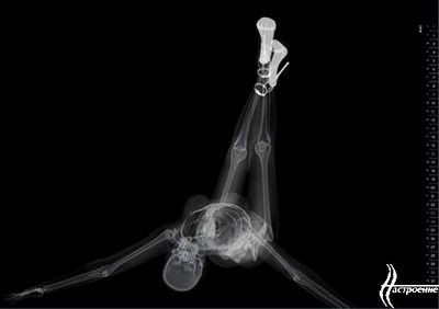 нанозвезды