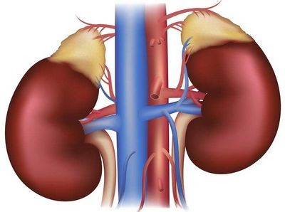 усталость усталость