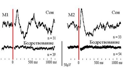 синхронизировать