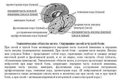 мозг мозг