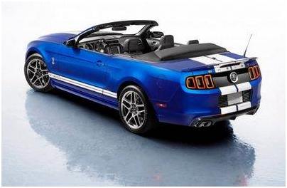 shelby shelby