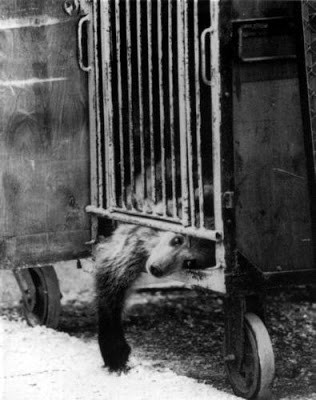 эксперимент