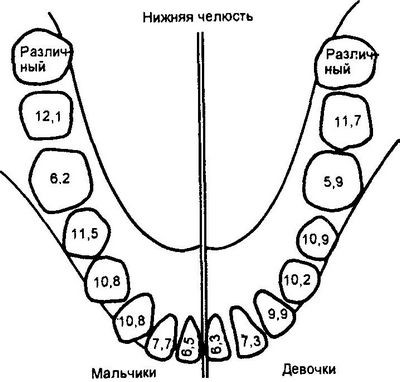 действительно