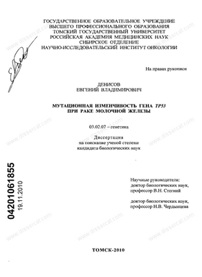 химиотерапия