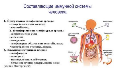 увеличение