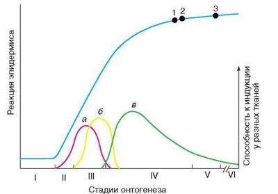 альцгеймера