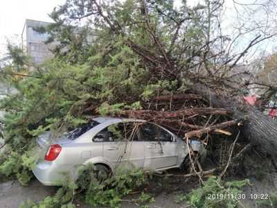 Упавшие ветки и вырванные с корнем деревья блокируют движение, повреждены три машины