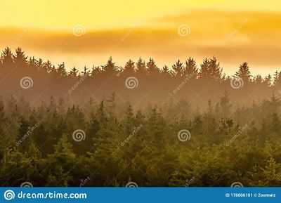 Land Rover празднует выпуск последних нынешних Defenders